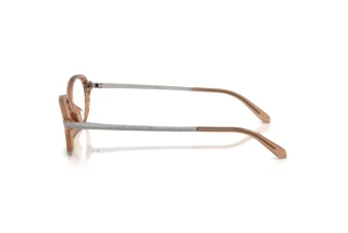 Vue latérale Ralph Lauren RL6269U (6377)