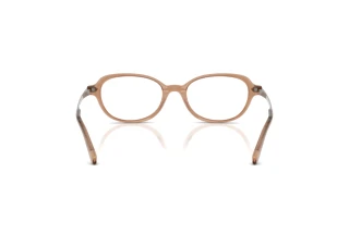 Vue arrière Ralph Lauren RL6269U (6377)