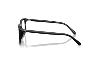Vue latérale Ralph Lauren RL6270U (5001)