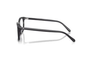 Vue latérale Ralph Lauren RL6270U (5965)