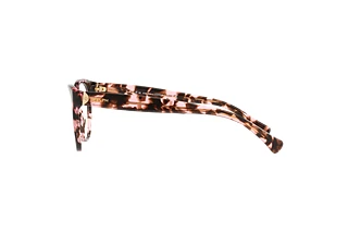 Vue latérale Ralph RA7103 (1693)