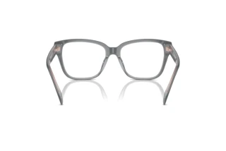 Vue arrière Ralph RA7162U (6066)