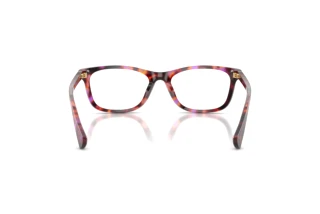 Vue arrière Ralph RA7179U (6239)