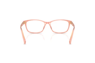 Vue arrière Ralph RA7194U (6296)