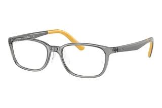 Ray-Ban Kids RY1617D 3774 Transparent Grey