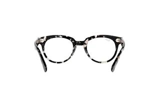 Vue arrière Ray-Ban RX2199V (8117)