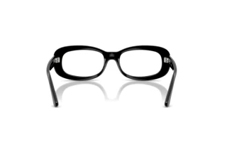 Vue arrière Ray-Ban RX2221V (2000)