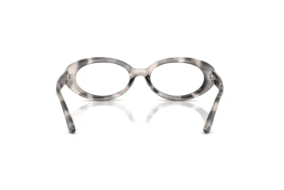 Vue arrière Ray-Ban RX2223V (8480)