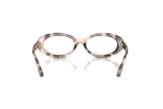 Vue arrière Ray-Ban RX2223V (8481)