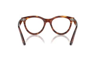 Vue arrière Ray-Ban WAYFARER WAY (RX2241V - 2144)