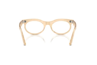 Vue arrière Ray-Ban WAYFARER OVAL (RX2242V - 8294)