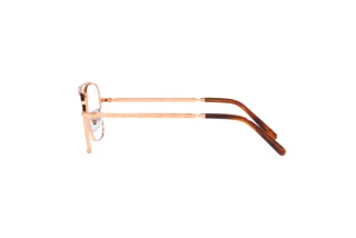 Vue latérale Ray-Ban NEW CARAVAN (RX3636V - 3094)