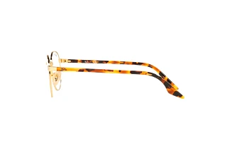 Vue latérale Ray-Ban RX3691V (2500)