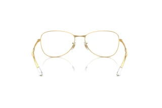 Vue arrière Ray-Ban RX3733V (2500)