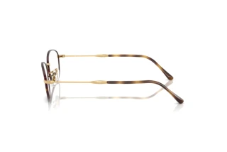 Vue latérale Ray-Ban RX3749V (3177)