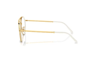 Vue latérale Ray-Ban RX3765V (2500)