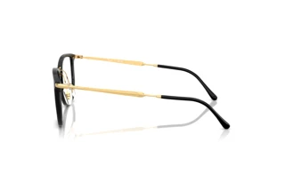 Vue latérale Ray-Ban RX4451V (2000)