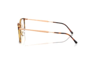 Vue latérale Ray-Ban RX4451V (5687)