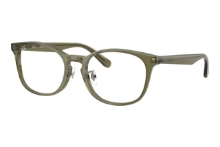 Vue de face Ray-Ban RX5386D (8501)