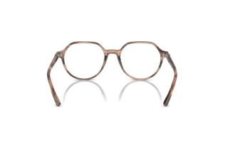 Vue arrière Ray-Ban THALIA (RX5395 - 8358)