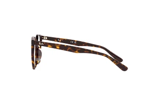 Vue latérale Ray-Ban RX5411D (2012)