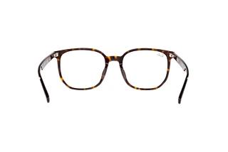 Vue arrière Ray-Ban RX5411D (2012)