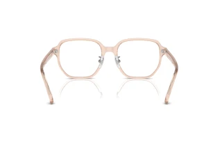 Vue arrière Ray-Ban RX5424D (8267)