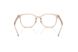 Vue arrière Ray-Ban RX5425D (8267)