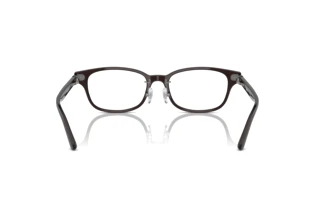 Vue arrière Ray-Ban RX5427D (8290)