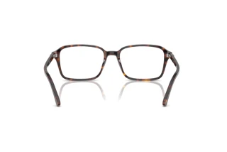 Vue arrière Ray-Ban RAIMOND (RX5431 - 2012)