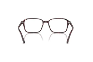 Vue arrière Ray-Ban RAIMOND (RX5431 - 8393)