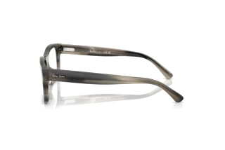 Vue latérale Ray-Ban RX5435 (8404)