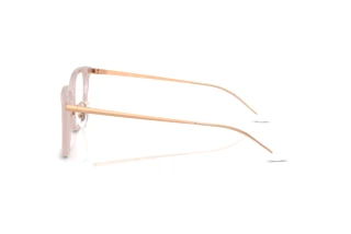 Vue latérale Ray-Ban RX5442D (8438)