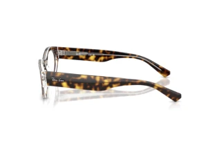 Vue latérale Ray-Ban RX5447 (5082)