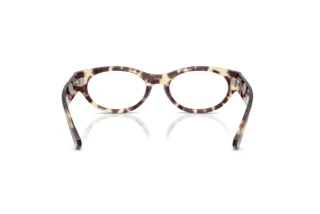 Vue arrière Ray-Ban RX5447 (8459)