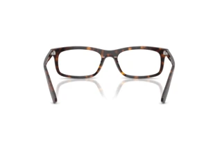 Vue arrière Ray-Ban RX5450 (2012)