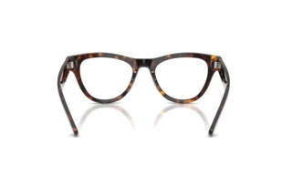 Vue arrière Ray-Ban RX5510 (2012)