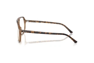 Vue latérale Ray-Ban RX5698 (8109)