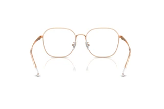 Vue arrière Ray-Ban RX6490D (3094)