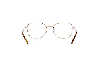 Vue arrière Ray-Ban RX6497 (3094)