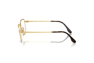 Vue latérale Ray-Ban RX6511 (2500)