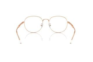 Vue arrière Ray-Ban RX6517D (3094)