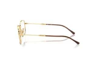 Vue latérale Ray-Ban RX6520 (2500)