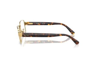 Vue latérale Ray-Ban RX6529 (2500)