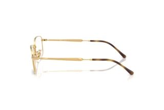 Vue latérale Ray-Ban RX6533 (2500)