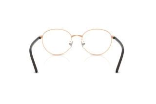 Vue arrière Ray-Ban RX6538D (3094)