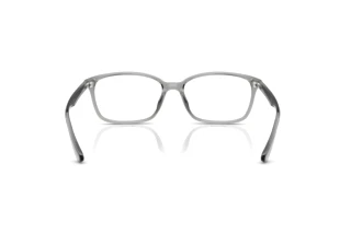 Vue arrière Ray-Ban RX7094D (8012)