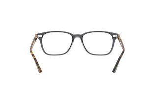 Vue arrière Ray-Ban RX7119 (5629)