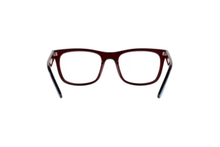 Vue arrière Ray-Ban RX7209 (8213)