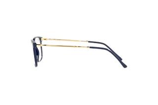 Vue latérale Ray-Ban RX7244 (8100)